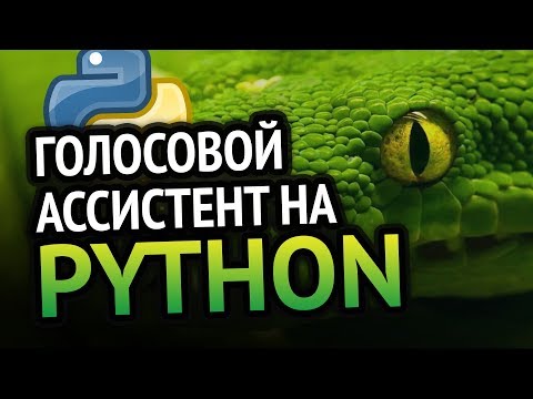 Видео: Голосовой ассистент на 🐍 Python | Урок как сделать?