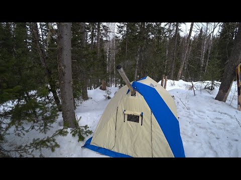 Видео: НОЧЬ В ЗИМНЕМ ЛЕСУ. ЖИВУ В ПАЛАТКЕ Polar bird. ЗАПАХЛО ВЕСНОЙ.