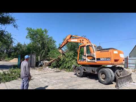 Видео: Удаление дерева отбойным молотком