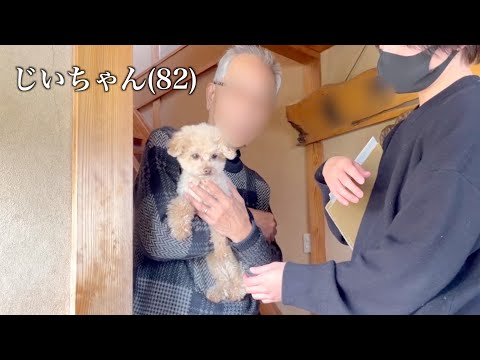 Видео: воссоединение моей собаки и дедушки впервые за год.