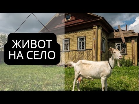 Видео: Живот на село - вкусна закуска и разходка из двора