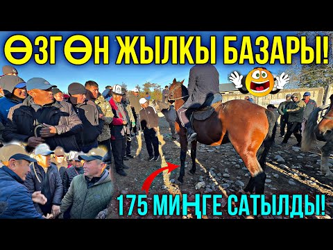 Видео: АТТАР КАТАР САТЫЛЫП ЖАТАТ 🤯 #байтв