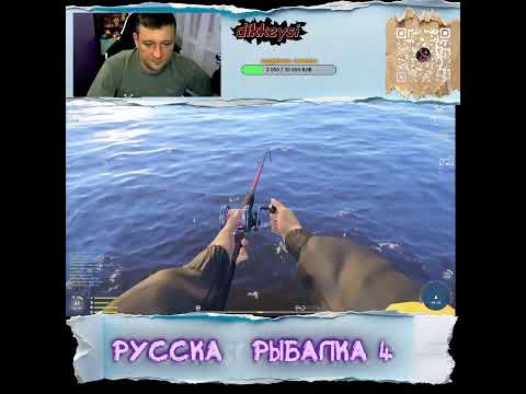Видео: Немного почилим !  Стрим с Dikkeysi | 🐟  Прямой эфир через restream.su