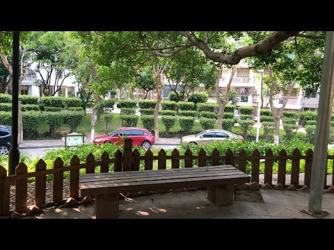 Видео: Что меня бесит в Китае. ЧАСТЬ ПЕРВАЯ.