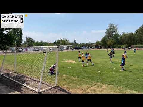 Видео: Самар U11 🆚 Sporting | Турнір у Підгородному | 4 тур