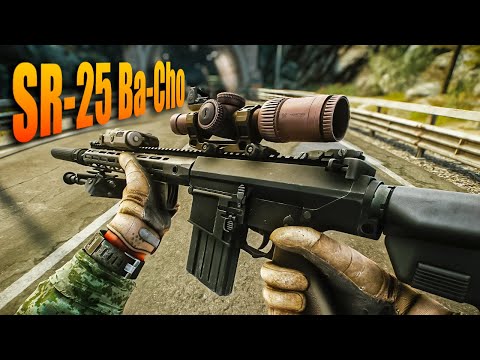 Видео: SR-25 Ba Cho ОТДАЧИ ТУПО НЕТ в Escape From Tarkov