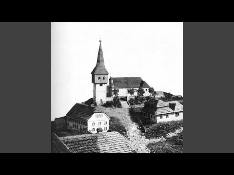 Видео: Река