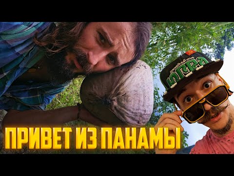 Видео: ПУШКАР В ПОСЛЕДНИЙ РАЗ. ПРИВЕТ ИЗ ЮЖНОЙ АМЕРИКИ!