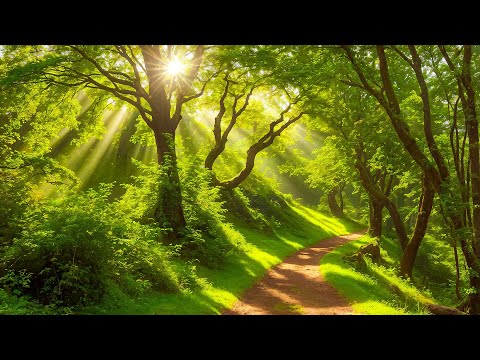 Видео: Мягкая целебная музыка для здоровья и успокоения нервной системы, глубокого расслабления