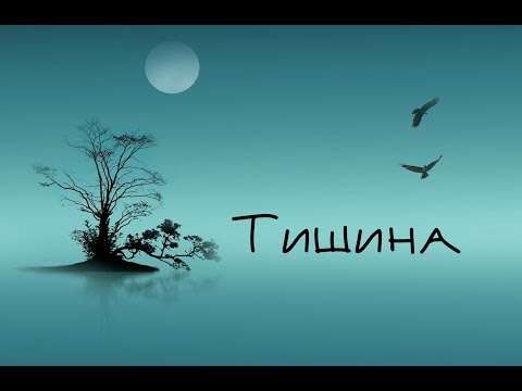 Видео: Тишина. NikOsho