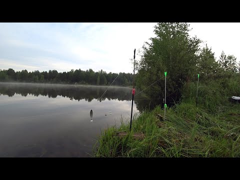 Видео: РЫБАЛКА НА ДЕДОВСКУЮ СНАСТЬ РЕЗИНКА НА РЕКЕ ВИЛЮЙ! С ЖИВЦОМ В ПОИСКАХ ХИЩНИКА! И ВОТ ПОКЛЕВКА! 2020!