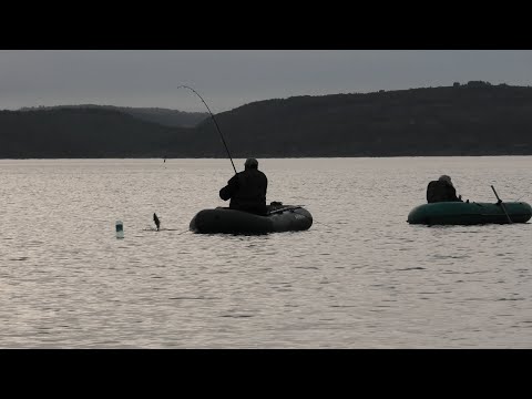 Видео: Вечерком на заливе ловим морскую рыбу / Sea fishing