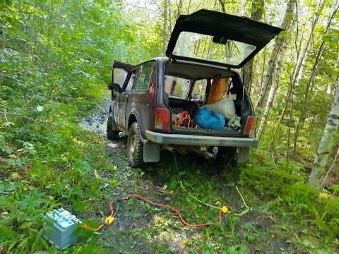 Видео: Северная часть Осударевой дороги. Август 2024.