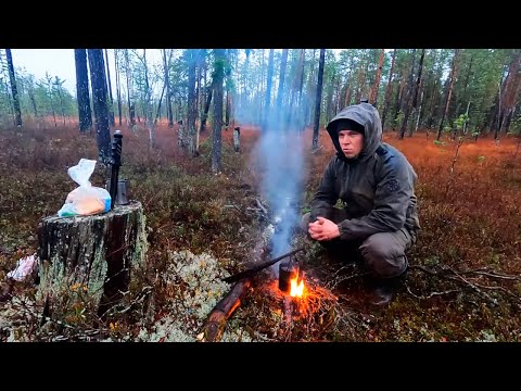 Видео: Ходовая охота на боровую дичь с КФЛ. Добыл птицу. Осень 2023.