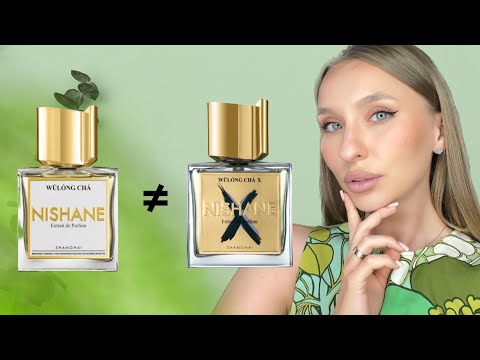 Видео: БИТВА NISHANE WULONG CHA: КАКУЮ ВЕРСИЮ БРАТЬ?