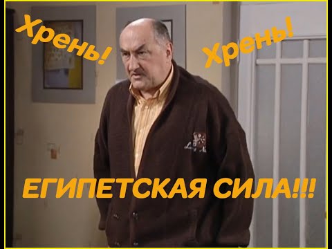 Видео: Воронины "Хрень" и "Египетская сила"|7 сезон!
