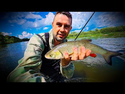 Видео: ГОЛАВЛЕМАНИЯ / СЕЗОН 2025 / МОРДОВИЯ, РЕКА МОКША.