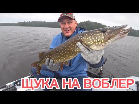 Видео: Щука на спиннинг в начале июля...