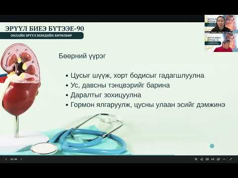 Видео: Бөөрний үрэвсэл ба өвдөлт зовиурын шалтгаан эмчлэх арга