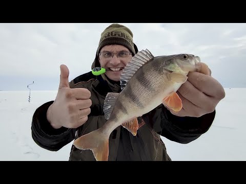 Видео: Дядя Фёдор ловит на банан! Зимняя рыбалка - она такая...