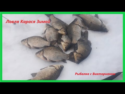 Видео: Возвращение на Озеро Уялы! Ловля трофейного Карася Зимой! Щука на Жерлицы!!