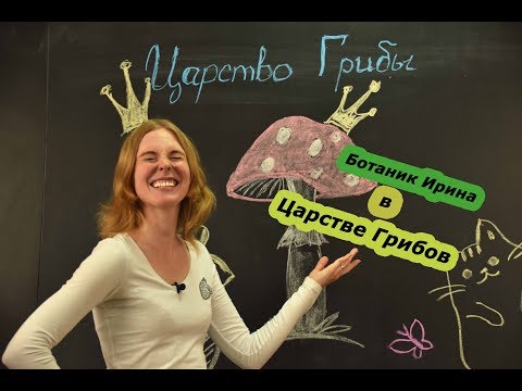 Видео: Биология I Царство грибы. Общая характеристика и строение. Биология ЕГЭ.