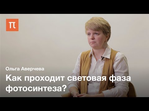 Видео: Фотосинтез — Ольга Аверчева