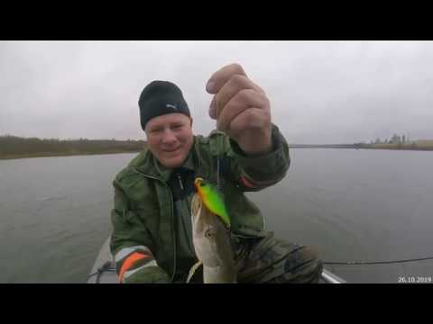 Видео: Ловля щуки на раттлин. Раттлин мегабасс!