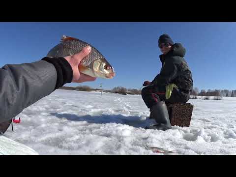 Видео: Закрываем зимний сезон, на озере в Береговом.