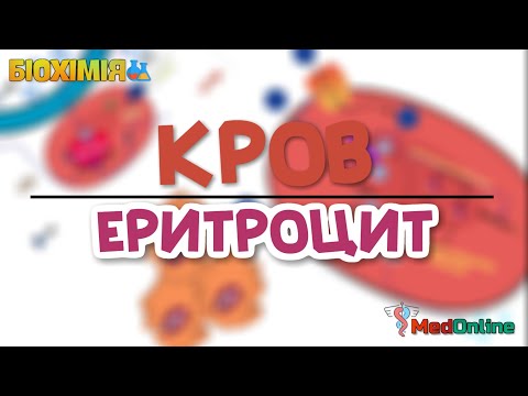 Видео: Біохімія Крові | Метаболізм Еритроциту, Гемоглобін та Транспорт Газів