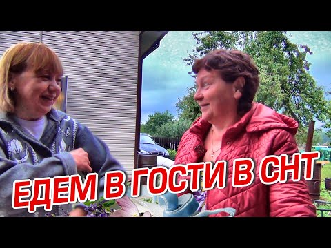 Видео: ЕДЕМ В ГОСТИ В СНТ