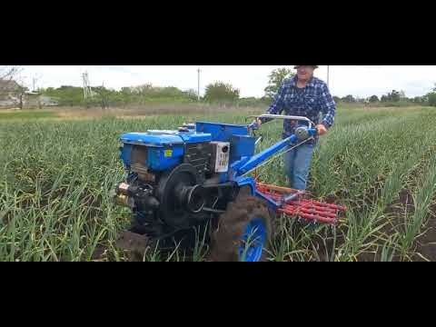 Видео: Мотоблок зубр 12к.с штригільна борона по часнику. дощ кожен день