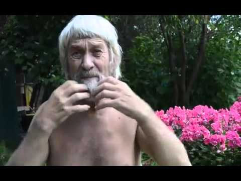 Видео: Беседа о простоте истины, просветлении и обычной жизни