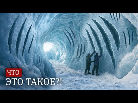 Видео: Топ-30 самых жутких находок в Антарктиде - Они нашли супер-хищника!
