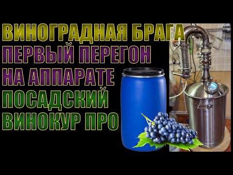 Видео: ВИНОГРАДНАЯ БРАГА | ПЕРВЫЙ ПЕРЕГОН НА САМОГОННОМ АППАРАТЕ "ПОСАДСКИЙ ВИНОКУР ПРО"