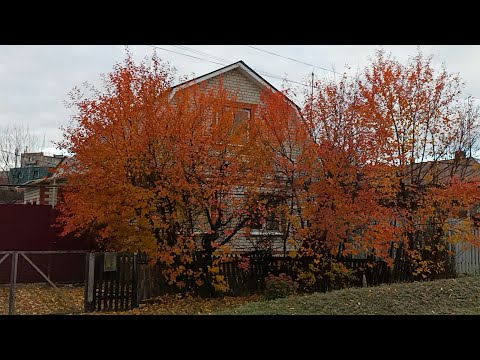 Видео: Аткарск. С улицы Песковской на Коммунистическую 