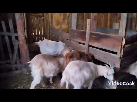 Видео: Красиво или практично