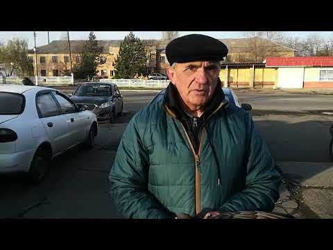 Видео: Ярмарка голубей г.Шахтерск 11.11.23г