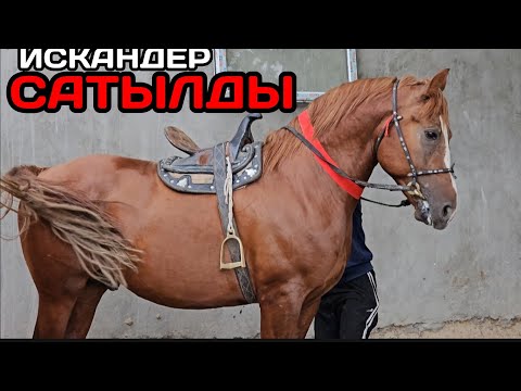 Видео: САТЫЛДЫ ИСКАНДЕР чалмай жок