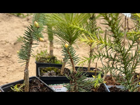 Видео: Распаковка 2й посылки из магазина Опт-Хоз