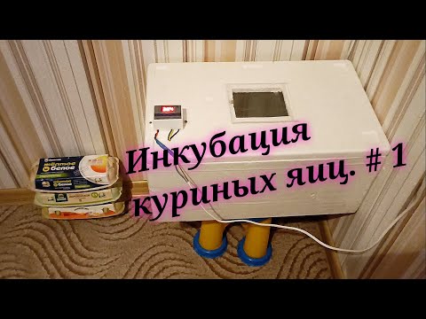 Видео: Инкубация куриных яиц в домашних условиях. Мой первый опыт.