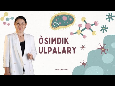 Видео: Өсімдік ұлпалары