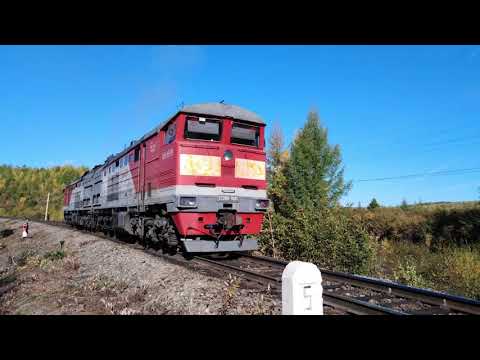 Видео: ДИПКУН , БАМ ,АМУРСКАЯ ОБЛАСТЬ , КОМАНДИРОВКА ,сентябрь 2019г.