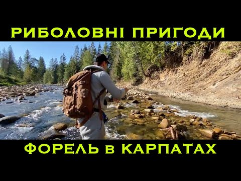 Видео: Форель в Карпатах | Рибальські Пригоди з Євгенієм Панасюком | 38 серія