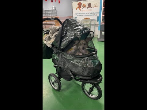 Видео: Коляска для собак и кошек. Pet Gear No-Zip Skyline.