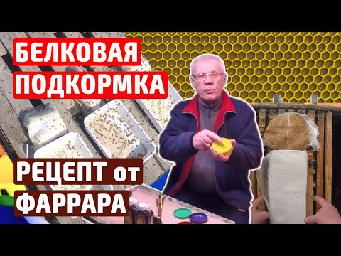 Видео: Белковая подкормка Рецепт Как давать Аномально теплые зимы