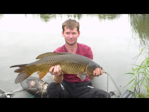 Видео: САЗАН МОНСТРЫ! Дикие САЗАН на БОКОВОЙ КИВОК / Ловля карпа на боковой кивок / Карп  Рибалка на карпа