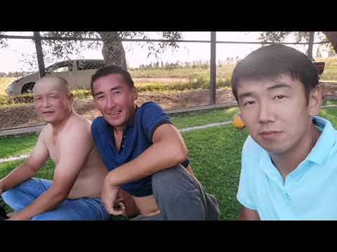 Видео: Суннот той // Кок-Талаа 08.08.2021