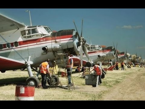 Видео: КРАСНОКУТСКОЕ ЛЁТНОЕ УЧИЛИЩЕ ГА | ХРОНИКА