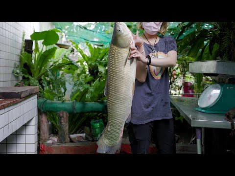 Видео: Удивительное мастерство, нарезанная холодная курица, судак, приготовление кухни из белого амура